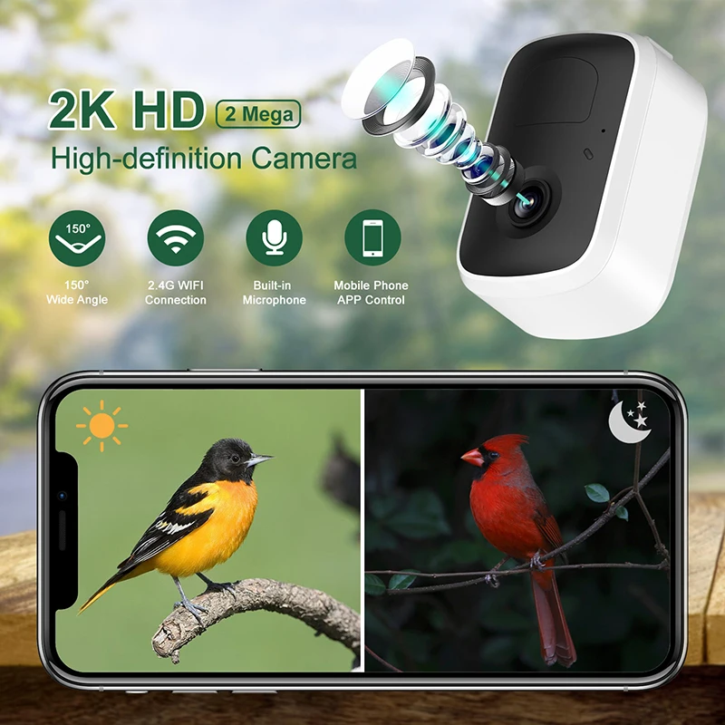 STLF/ Smart Bird Feeder with Camerass1080 HD AI Intelligent Identification Bird Bird Supplies