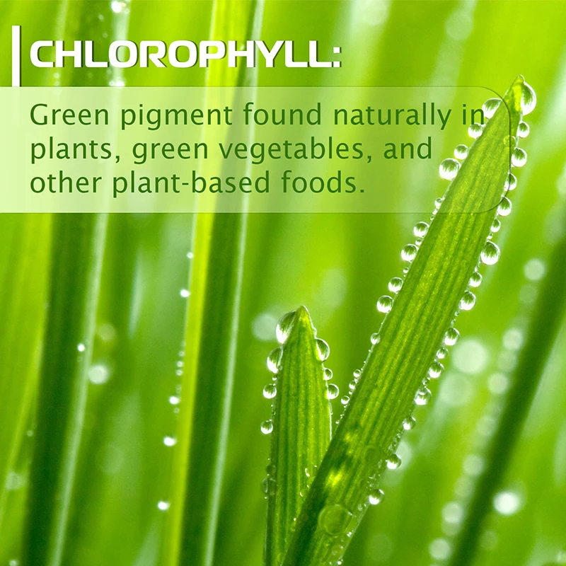 Chlorophyll Capsules - for Energy, Immunity, Skin Internal Deodorant - Highly BioAvailable Supplement