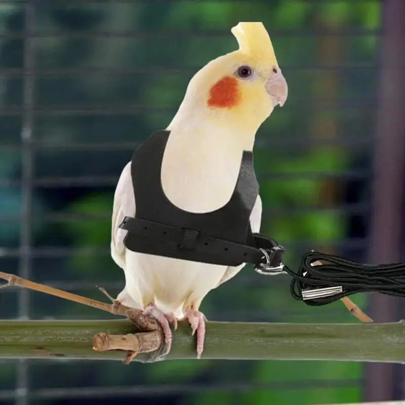 Parrot Harness Pet Parrot Adjustable Harness Anti Bite Training Harness Parrots Outdoor Flying Rope Cockatiel Small Birds Supply