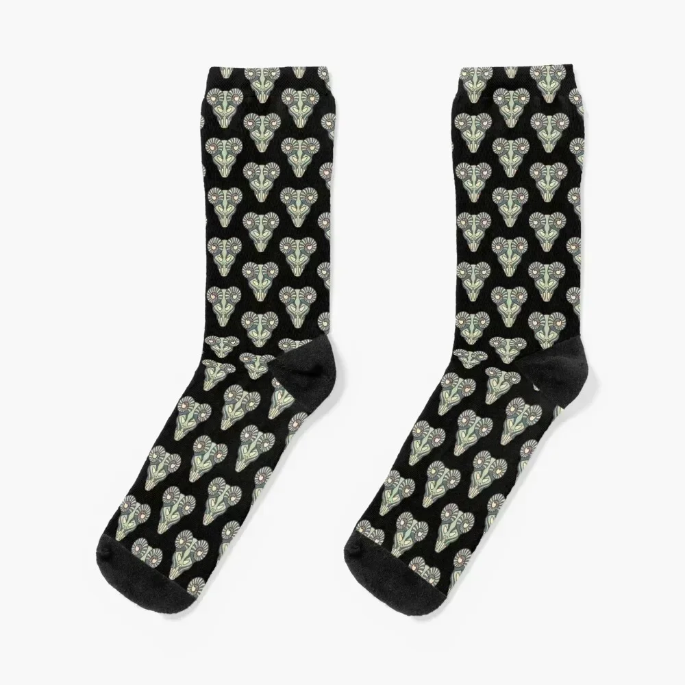 

the pick of destiny tenacious D rock the world with best music Socks anti-slip Wholesale cartoon Men Socks Luxury Brand Women's