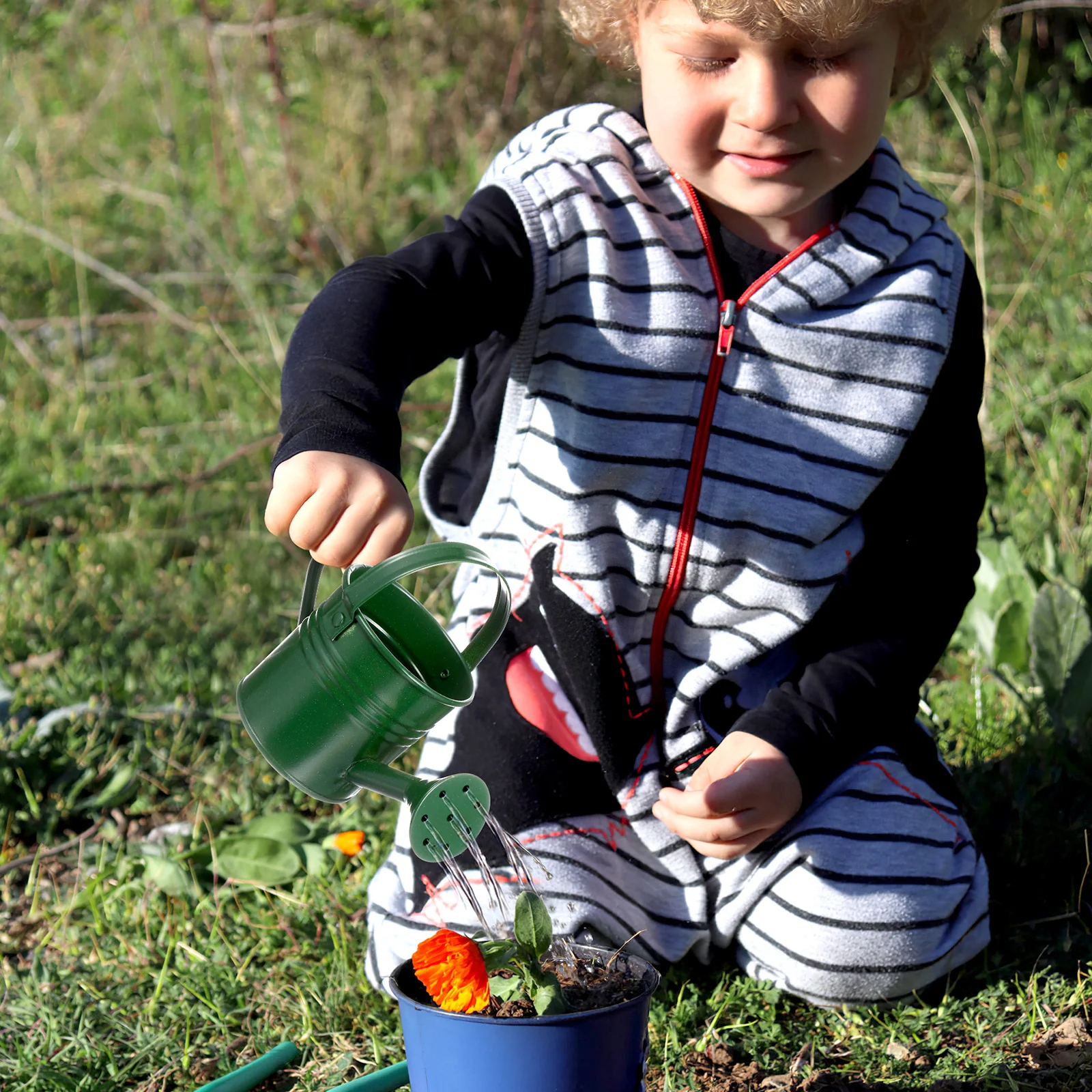 

6 Pcs Sprinkler for Watering Can Flower Indoor Cans Metal Mini Pot Decor Small