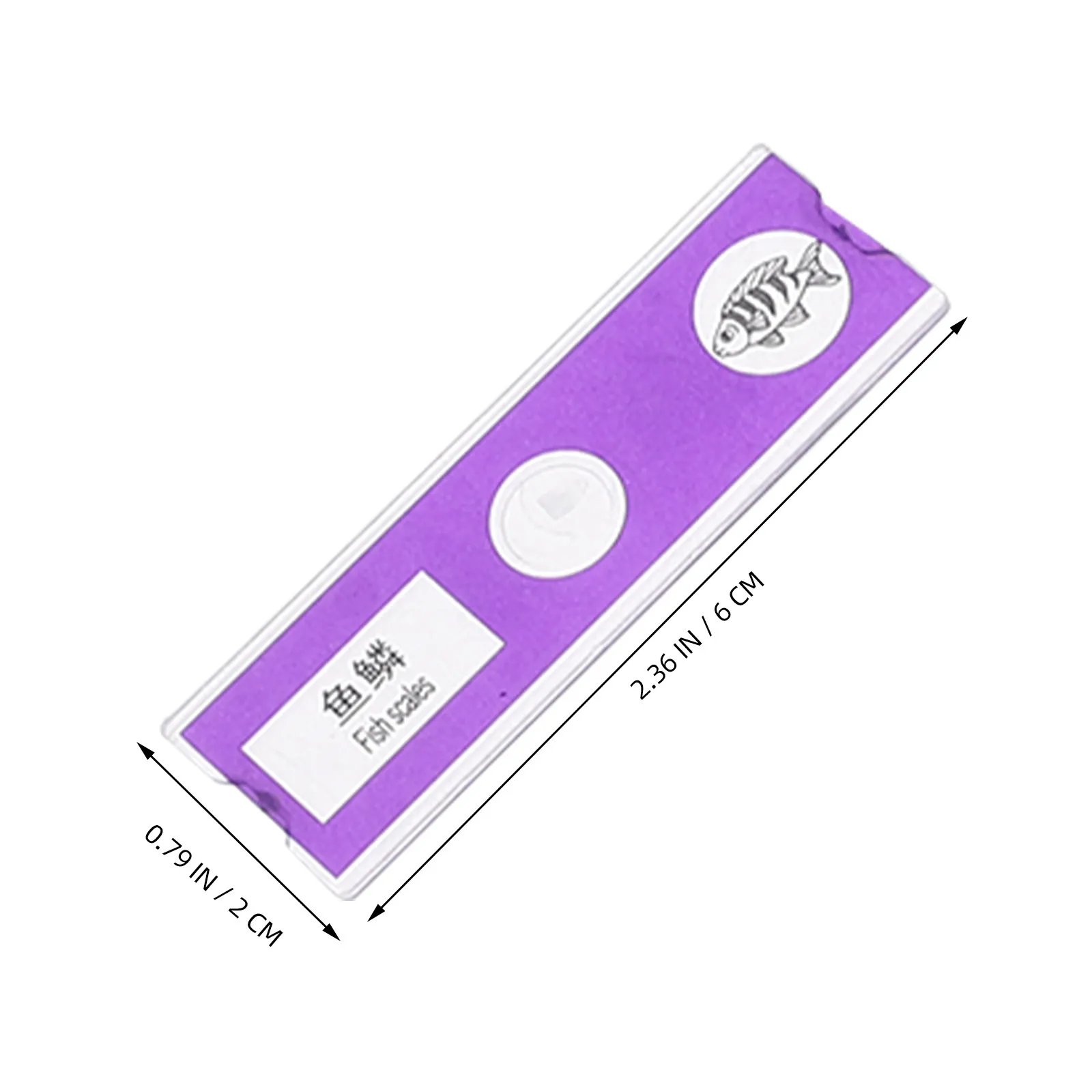 24Pcs Prepared Microscope Slides Set sample Insects Plants Flowers Kids Science Classroom Experiment