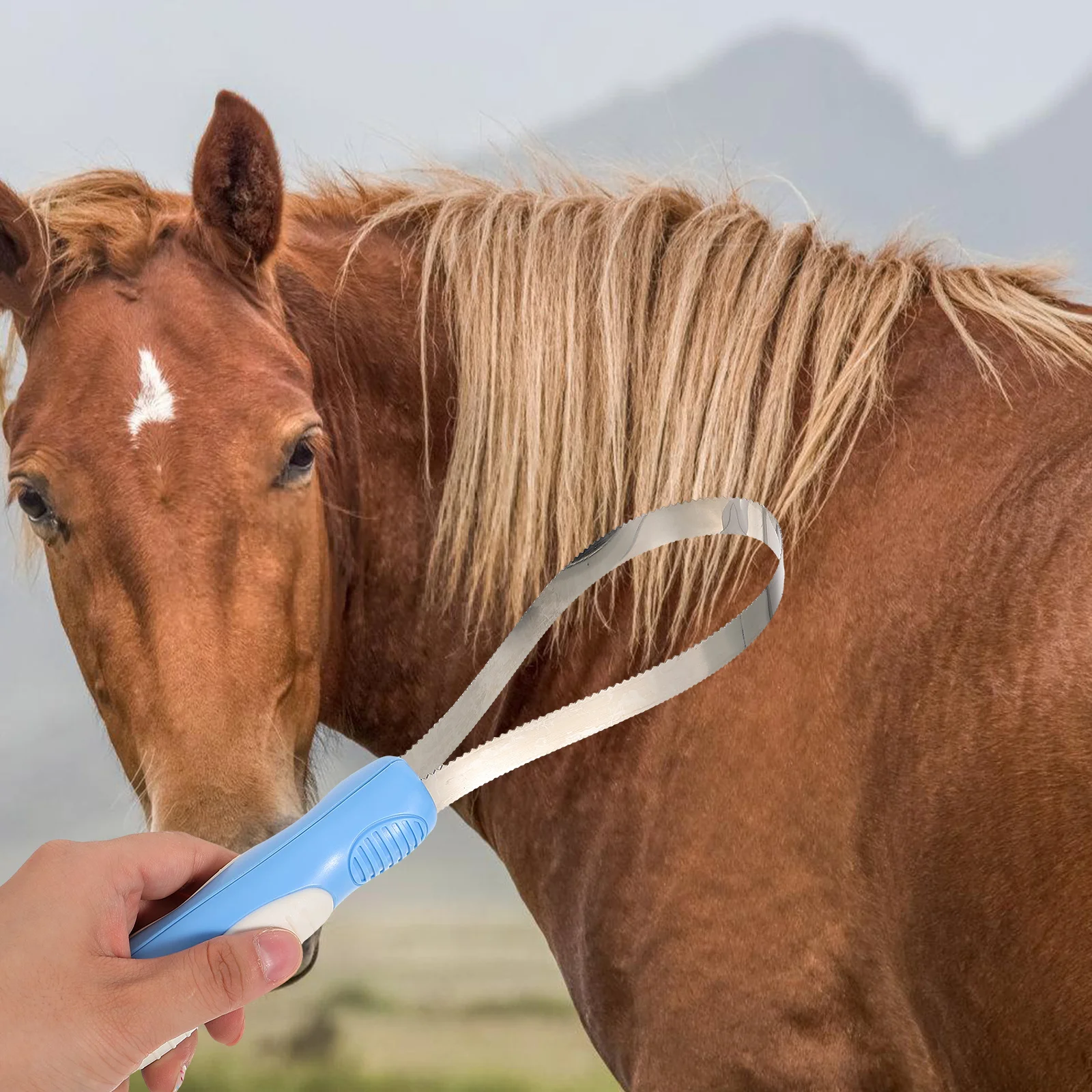 Limpo removedor de pêlos de animais de estimação espátula de noivo toque abs escova de gado raspador de aço inoxidável