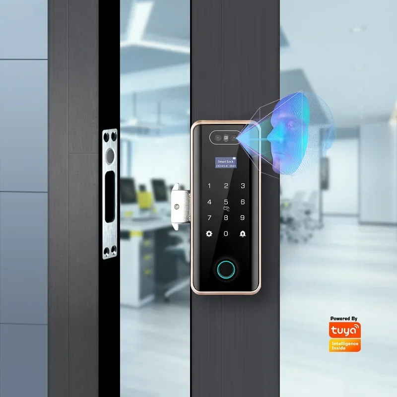 

Security Touch Keypad Tuya App Remote Control Digital Password 3D Face Recognition Fingerprint Glass Door Lock