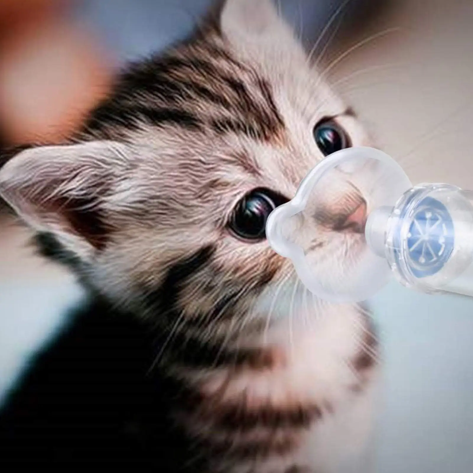 Pet Aerosol Chamber Inhaler Handheld Spacer with Low Resistance Inhalation Valve Light Weight Inhaler for Cats And Dogs