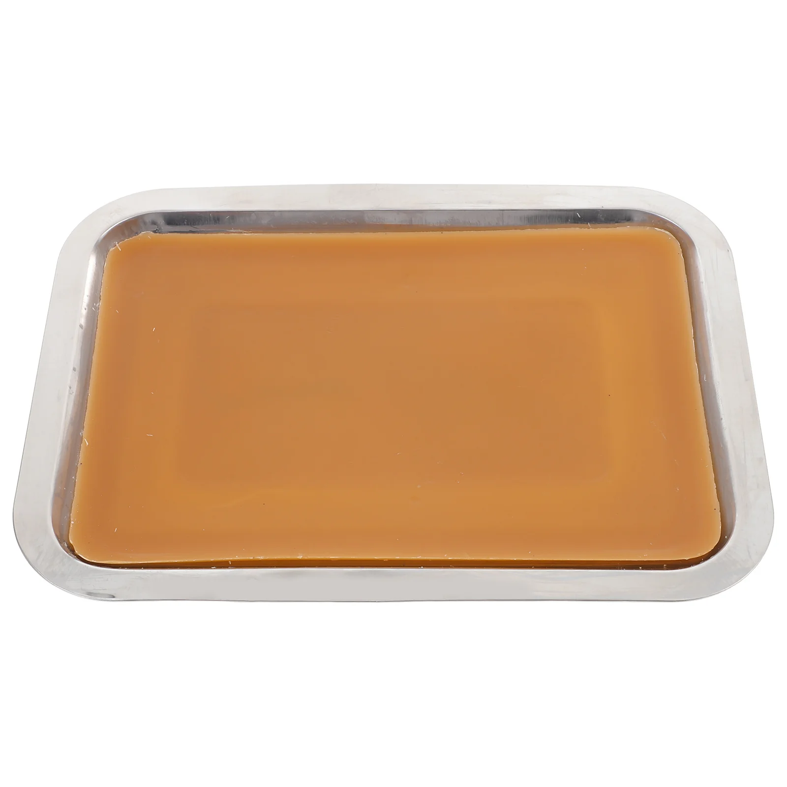 

Wax Dissection Tray Biological Laboratory Equipment 18x25cm White Wax Bottom Tray for Junior Senior School Use