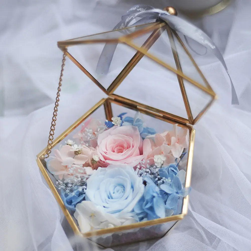 

Premium Transparent Jewelry Case Sturdy Frame Household Display Box for Earrings Rings Necklaces Easy Carry Jewelry Box