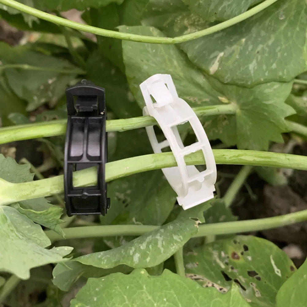 

100pcs Plant Black Garden Tomato Plastic Clamp Supplies Tomato Vine Flowers Durable Reusable Plastic Clamps Stem Support