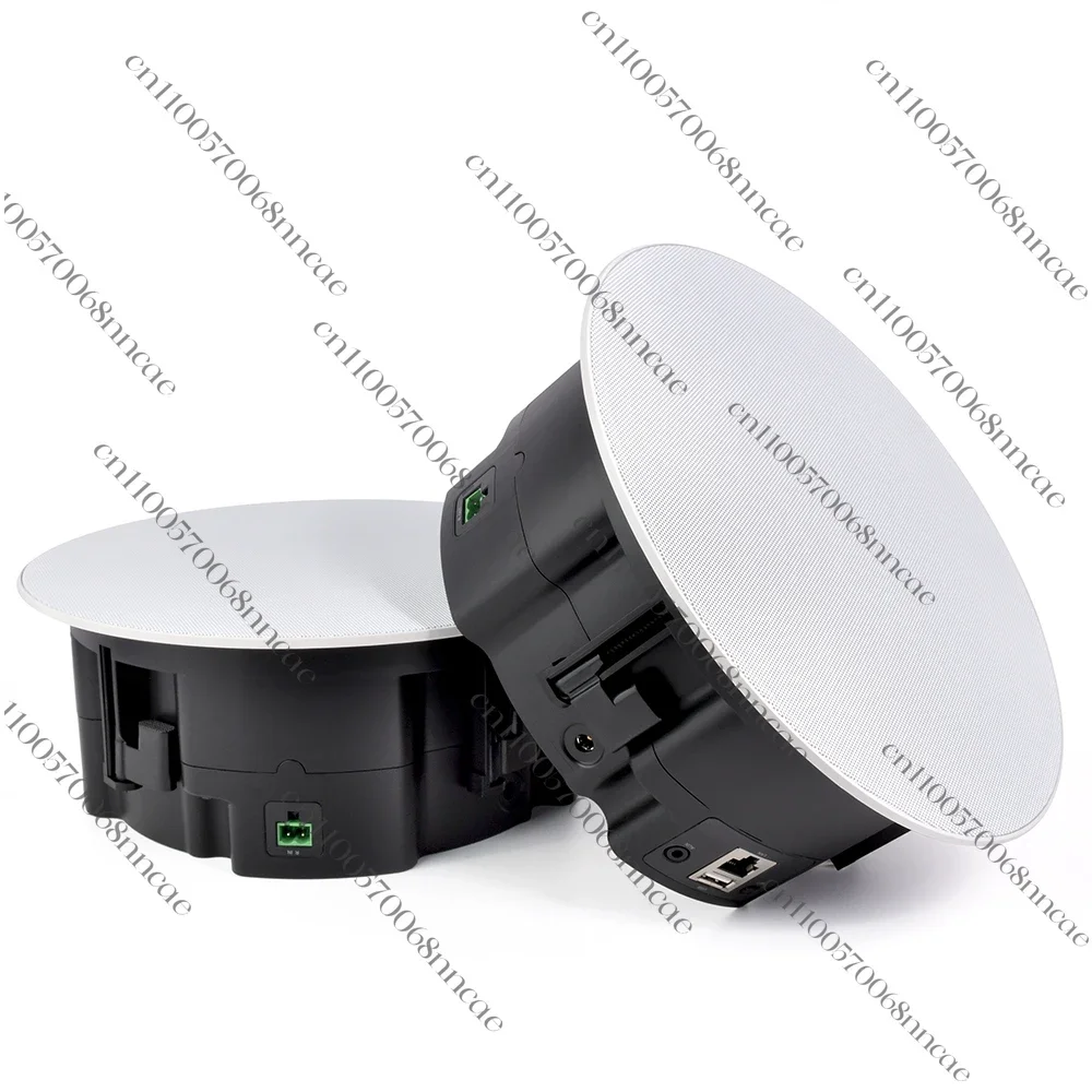 

Беспроводной динамик CS-2 Hi-Fi потолочный динамик 1 Master + 1 рабский Airplay многокомнатное воспроизведение для домашнего кинотеатра отеля