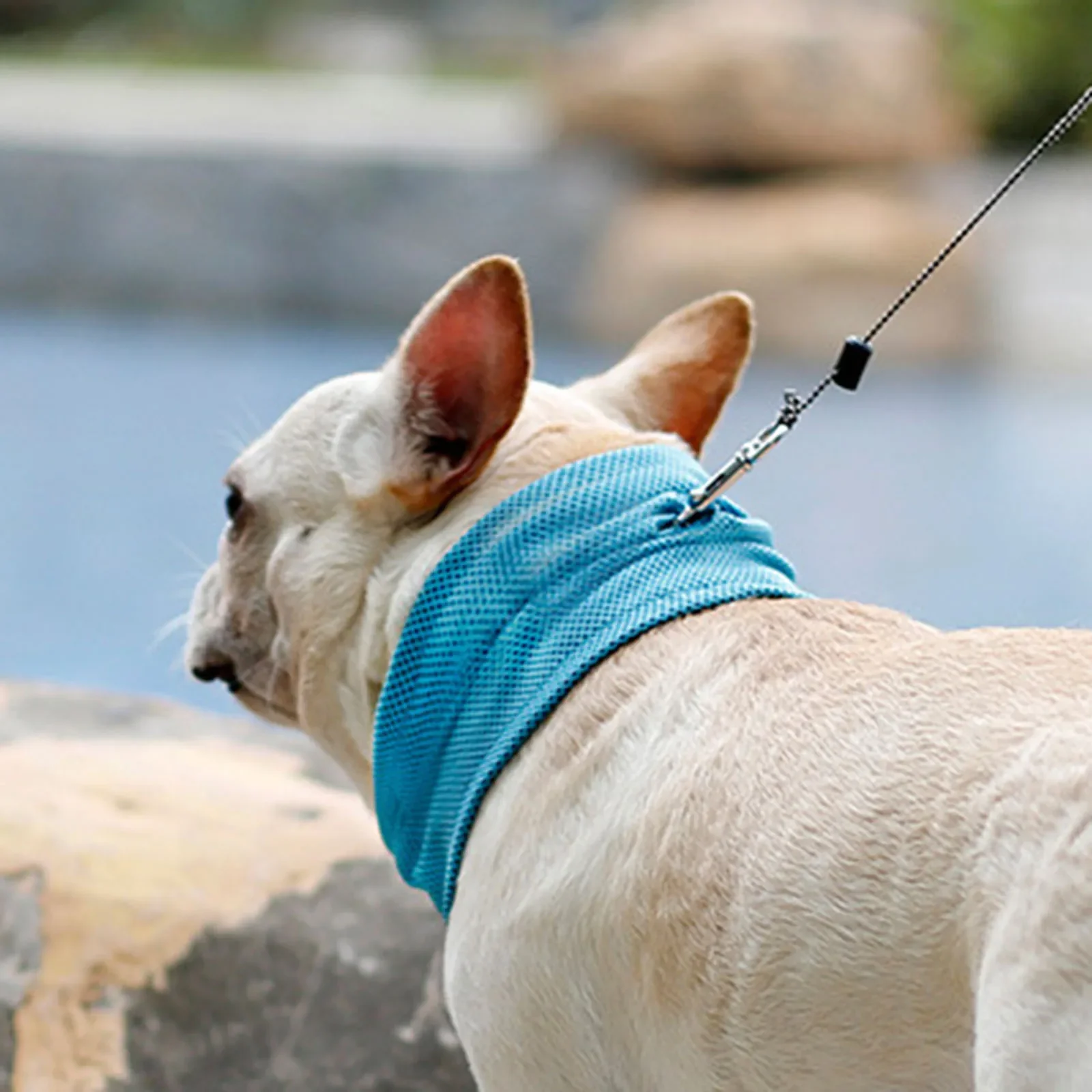 écharpe Rafraîchissante Instantanée Pour Animaux De Compagnie, Collier Bandana Rafraîchissant, Serviettes De Glace Pour Petits