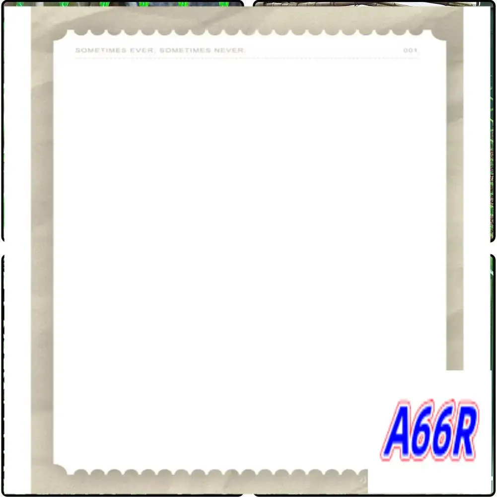 

RR-Plastic Chicken Wire Fence Mesh,Fencing Wire For Gardening, Poultry Fencing, Chicken Wire Frame For Floral Netting