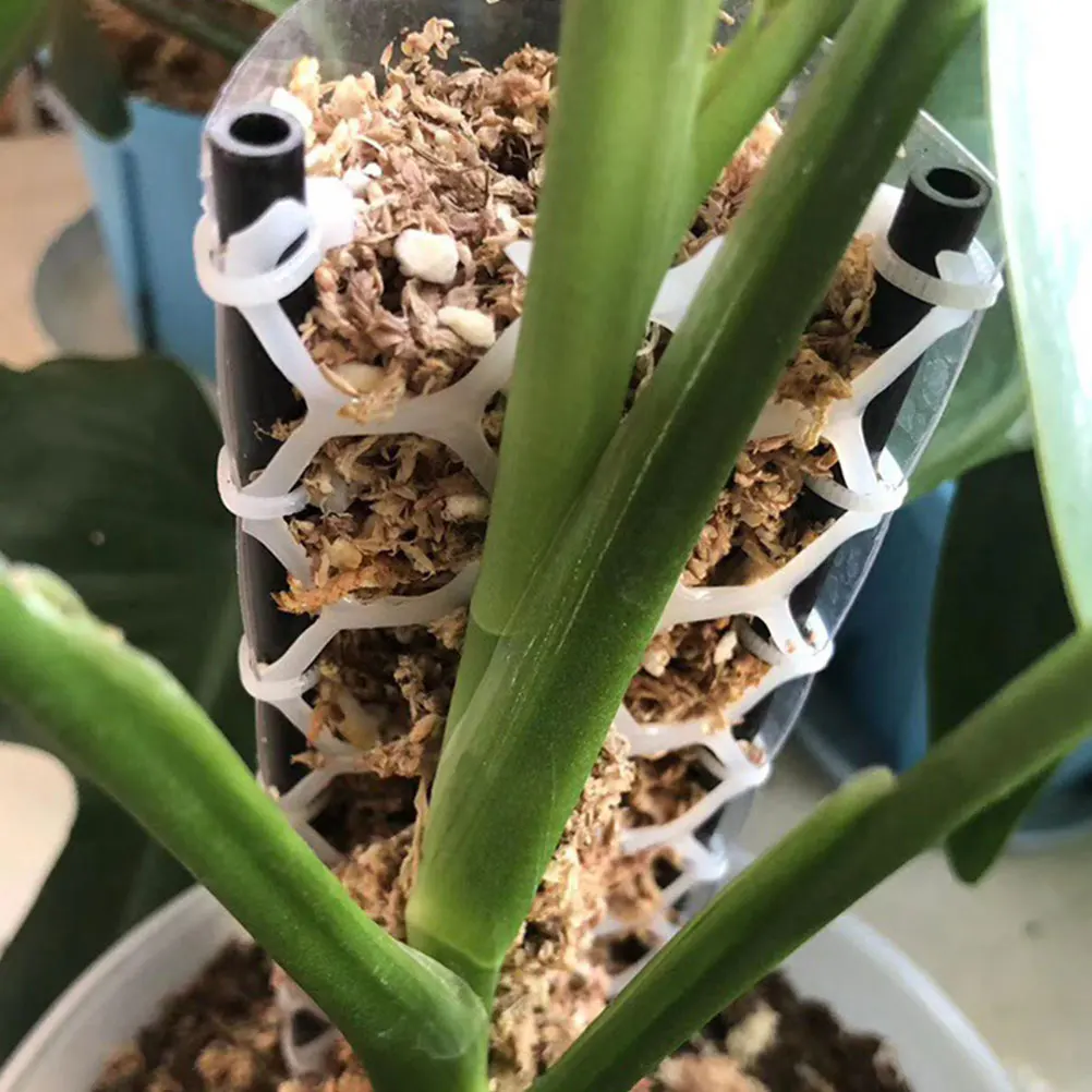 

1 set 1 Set Moss Pole Mesh Kit Potted Plants Indoor Plant Climbing Net Support For Garden Vine Vegetables Fruits Flowers Plastic