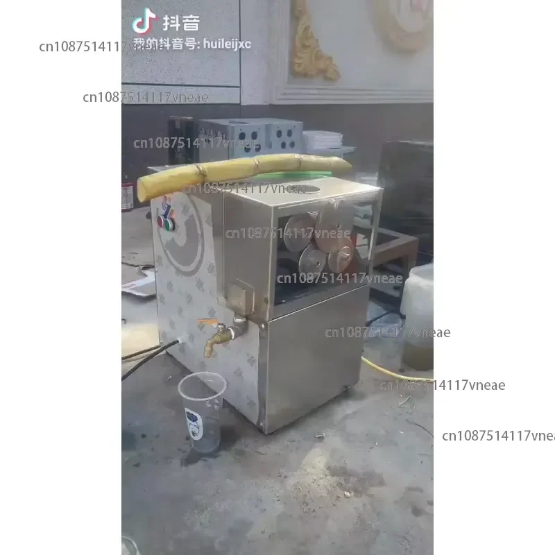 Stainless Steel Sugarcane Extractor Juice Machine 220V Low Noise Level with  Motor Core for Fruit