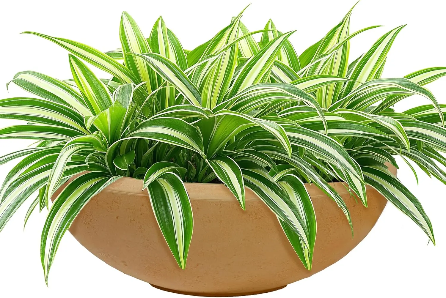 

Percival 20.75" Shallow Outdoor Planter Bowl for Flowers and Succulents - Polyresin Double-Walled Design - Sand