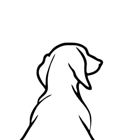 

1PC Motorcycle Dog Tail Stickers DIY Motocross Helmet Body Vinyl Decals Car Rear Wiper Decorative Sticker