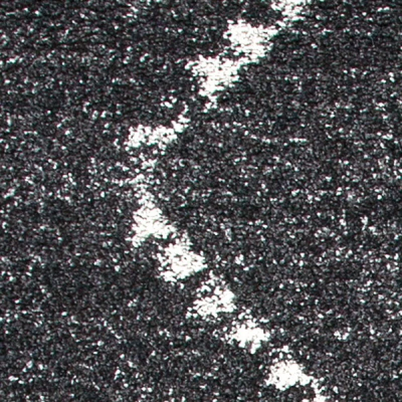 سجادة منطقة غرناطة آشر باللون الأسود/العاجي