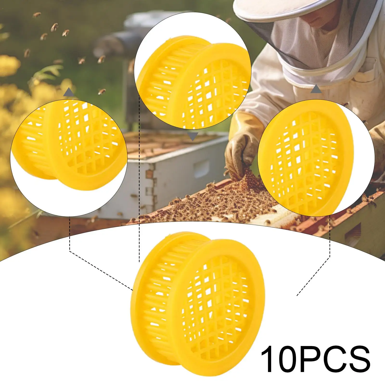 

10x Queen Bee Cages Breeding Cage Queen Bee Rearing Boxes for Outdoor Yard