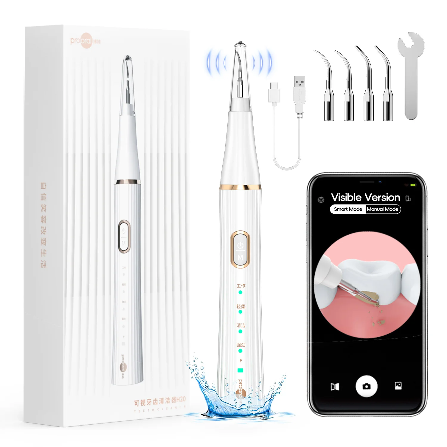 歯の歯垢/歯石除去剤、LEDライト付き歯石除去クリーニングキット-4ヘッド、家庭用歯クリーナー