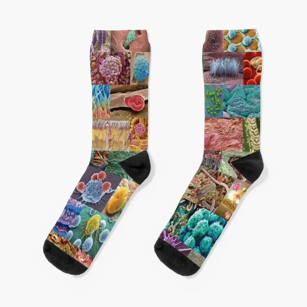 

Electron Microscope Socks essential Wholesale short valentine gift ideas Boy Child Socks Women's