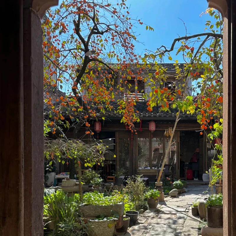 

JX B40 40 кг 8,4 В бесщеточный высокий крутящий момент с коротким корпусом цельнометаллический сервопривод 1/8 1/10 автомобильный сервопривод с дистанционным управлением RC