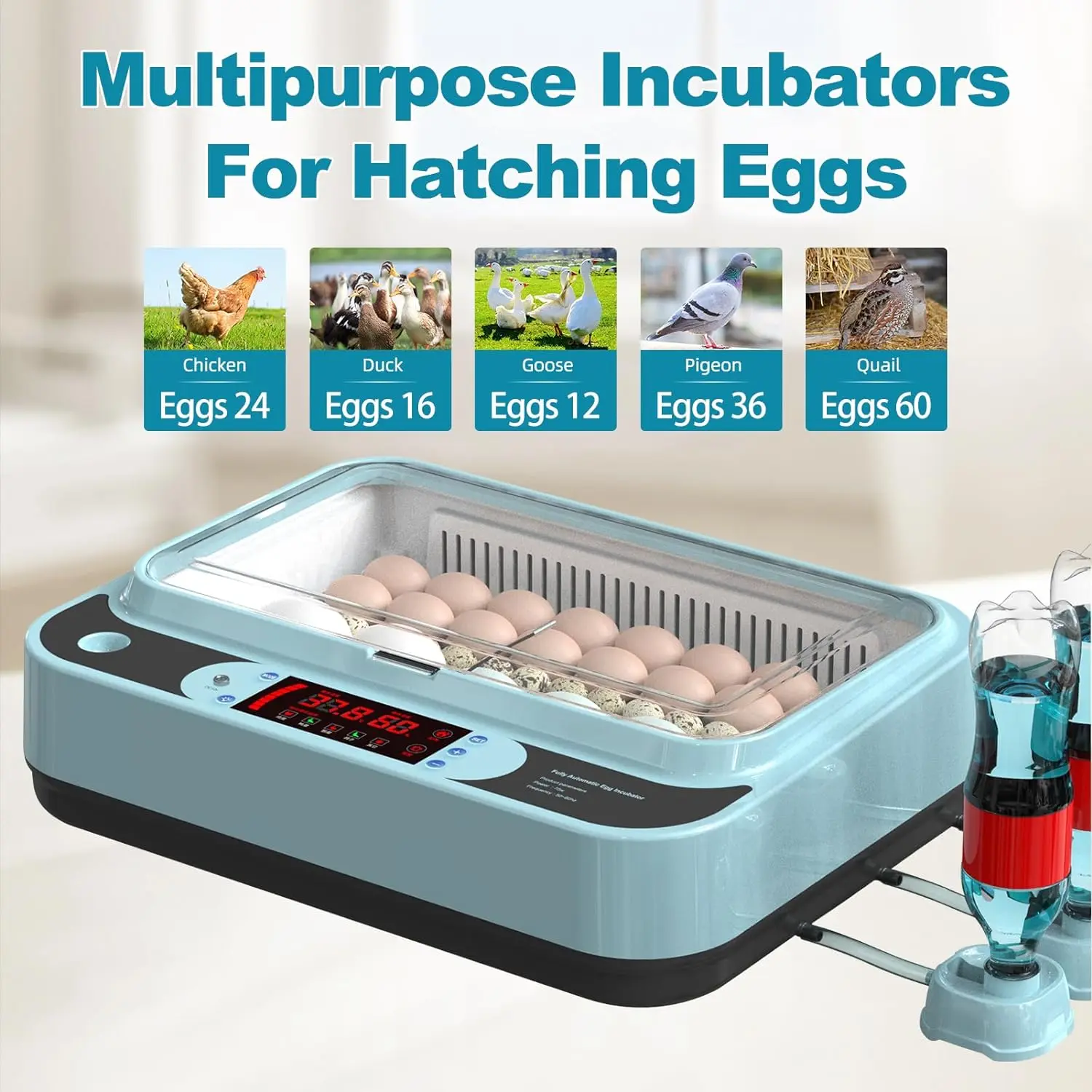 Egg Incubator, Egg Incubator with Automatic Egg Turning and Humidity Monitoring,15-24 Eggs Incubator for Duck Eggs Quail Eggs