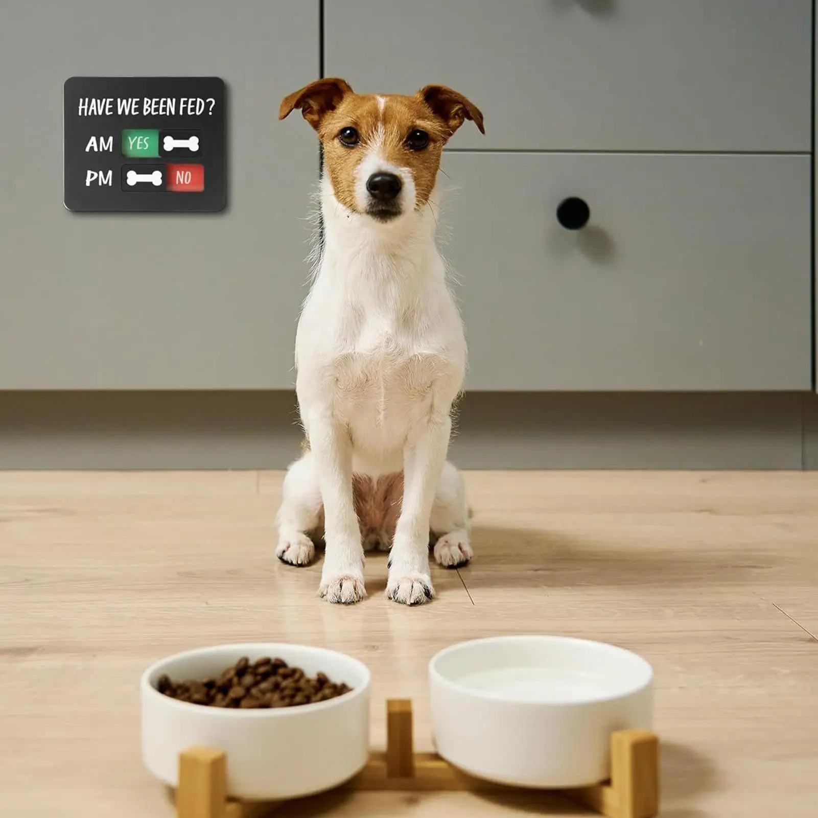 Dog Feeding Reminder Fed Fridge Sign Magnetic Acrylic Pet Supplies Have We Been Fed Fridge Sign For Food Home Kitchen Door