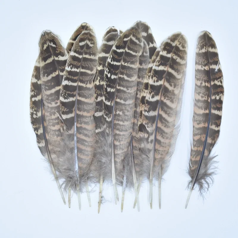20 Stück natürliche Fasanfedern für Schmuckherstellung, Bastelarbeiten, 10–15 cm, Federverzierung, Hüte, Dekoration, Plumas, Karneval, Huhn – Detail 3