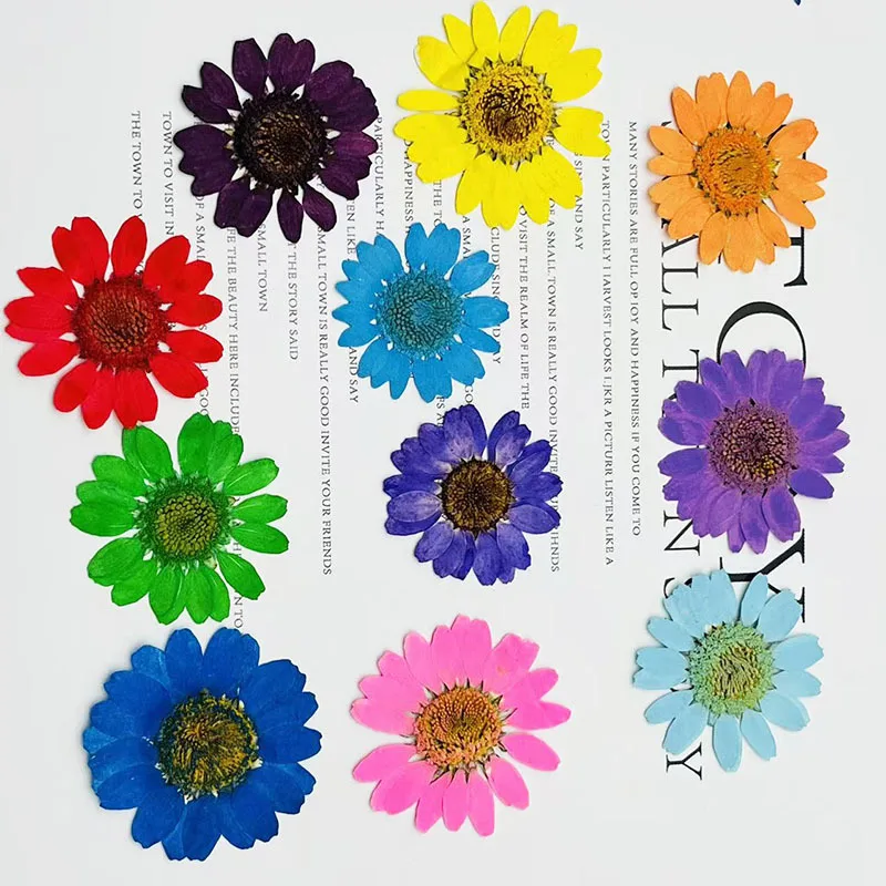 

100Pcs White Crystal Chrysanthemum Dyeing Material Pack Dried Flowers Pressed Flowers Aromatherapy Wax Slices Candle Plant Specimens Resin Dried Flowers Handmade Decorations