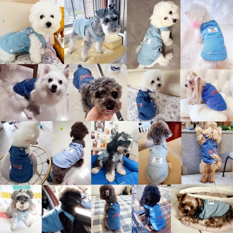 Autumn Pet Dog Clothes for Small Dogs Fashion Dog Denim Dress Cute Puppy Skirt Warm Soft Cat Suspender Skirt Chihuahua Clothes