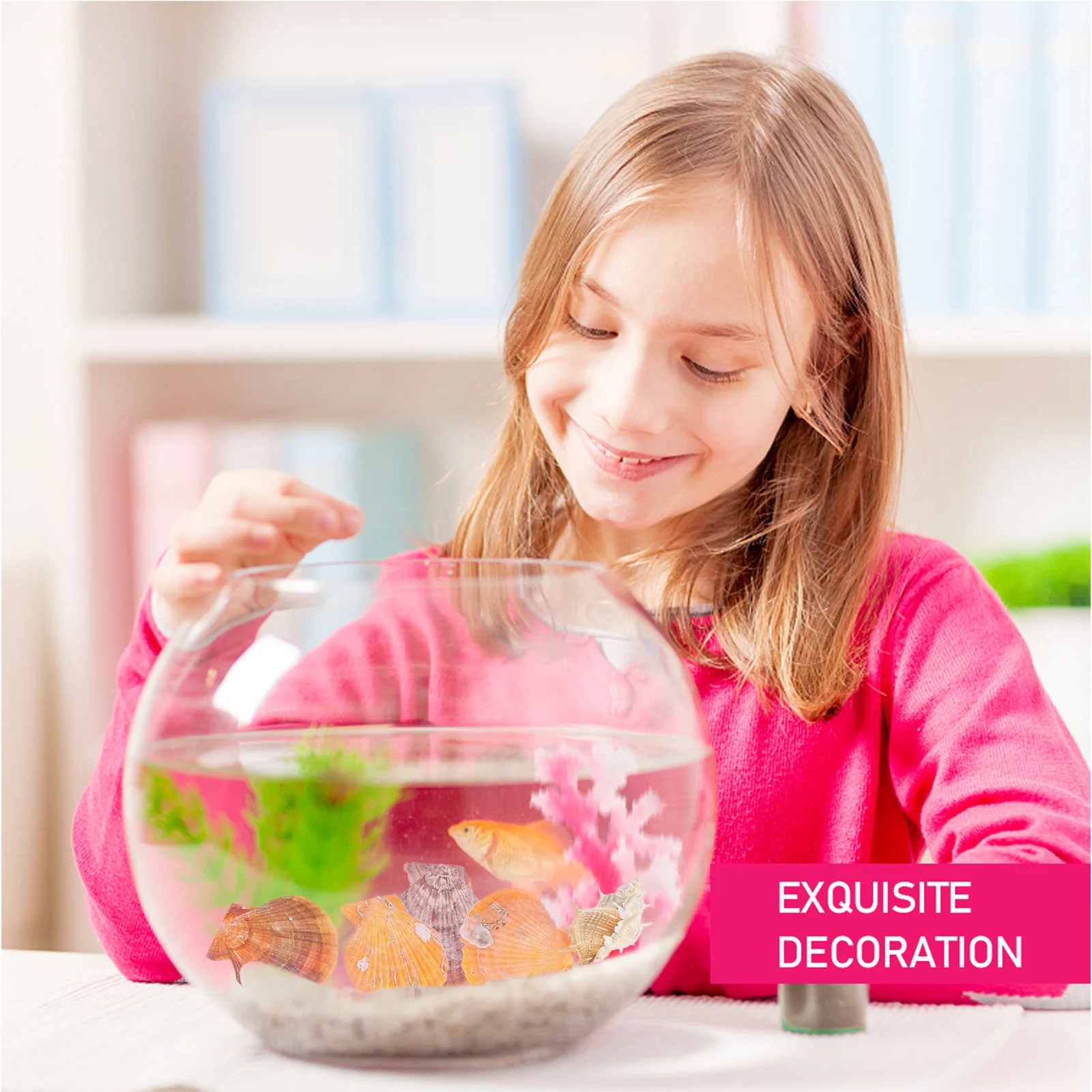 

Microlandscape Decor Shell Sea Snail Fish Tank Decorations Snails Natural Beach Shells Supplies