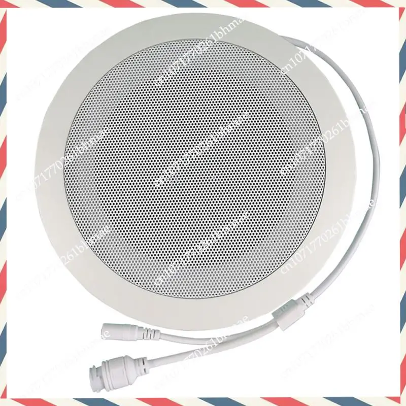 -A21Z 10W شبكة IP نظام العناوين العامة الصوت ABS سقف المتكلم POE أو DC12V
