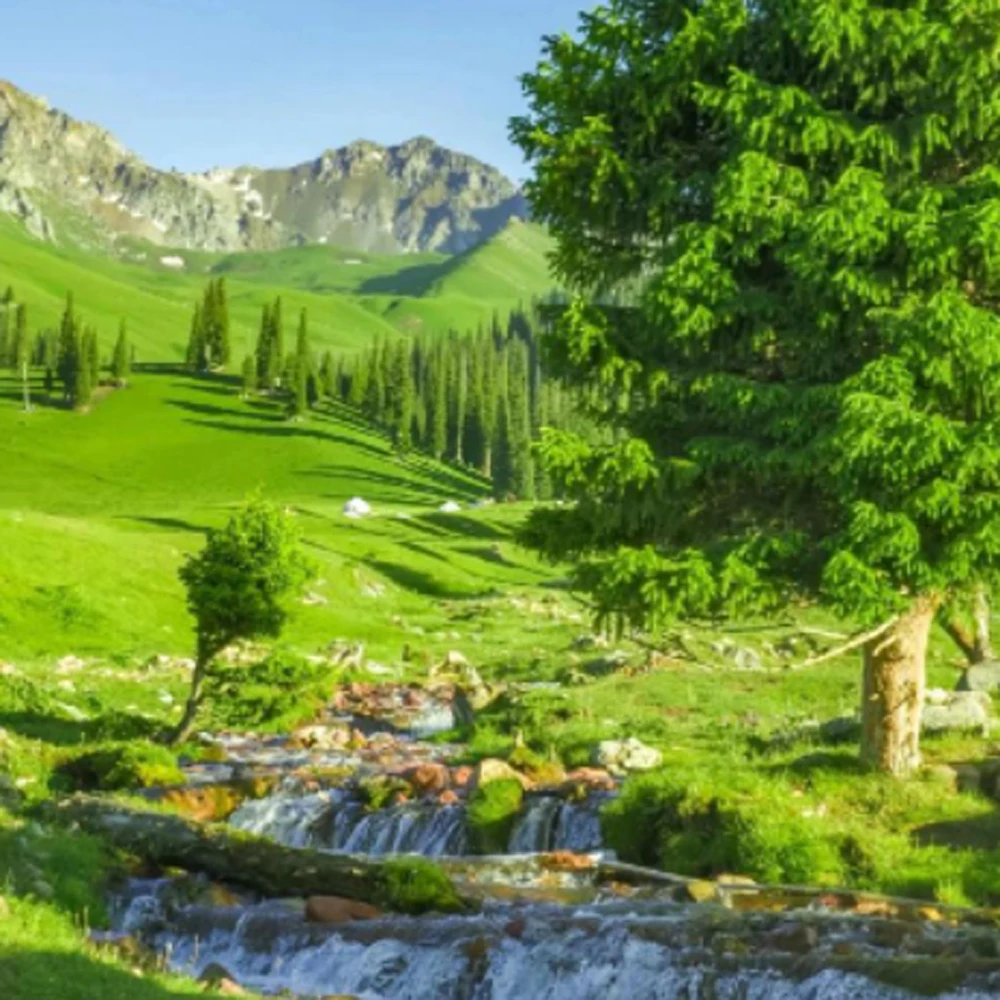 

100% Original Cleaning unit/ Cleaning kit for Epson SC F6070 F7070 F7000 F6000 F6200 F7200 Printer Pump assembly