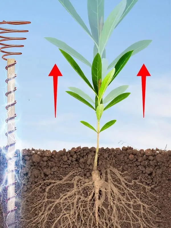 6 قطعة نباتات الثقافة الكهربائية حصص حديقة النحاس لفائف هوائيات لزراعة حديقة الخضروات النباتية باستخدام #4