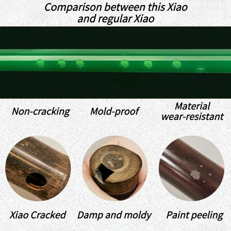 8 trous résine Xiao G/F clé chinoise verticale flûte de bambou Performance professionnelle Dongxiao débutant pratique Instruments de musique