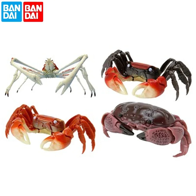 Original Bandai Gashapon Big Biological Map Spider Crab Calappa Movable Simulation Animal Model Qversion Mini Gifts Collection