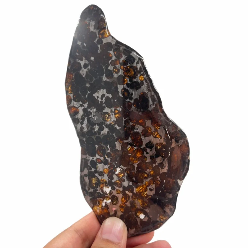 Sericho Pallasite Meteorite Slice Kenya Polished Olivine Meteorite Irregular Piece Natural Space Collection Specimen QA893