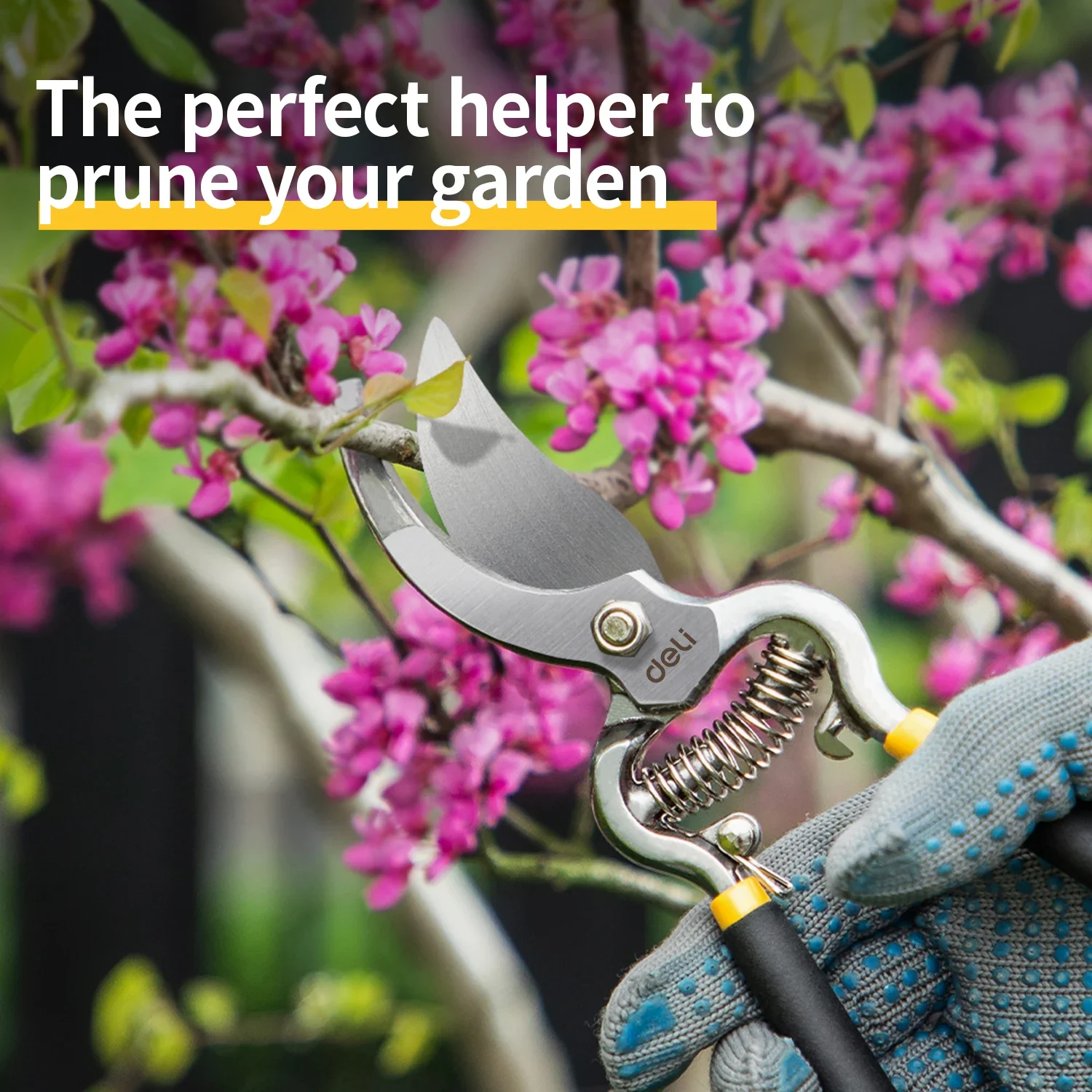 Imagem -05 - Deli-garden Horticulture Pruner Shears Sk5 Lâmina Poda Tesoura para Bonsai Árvores Frutíferas Flores Ramos 8