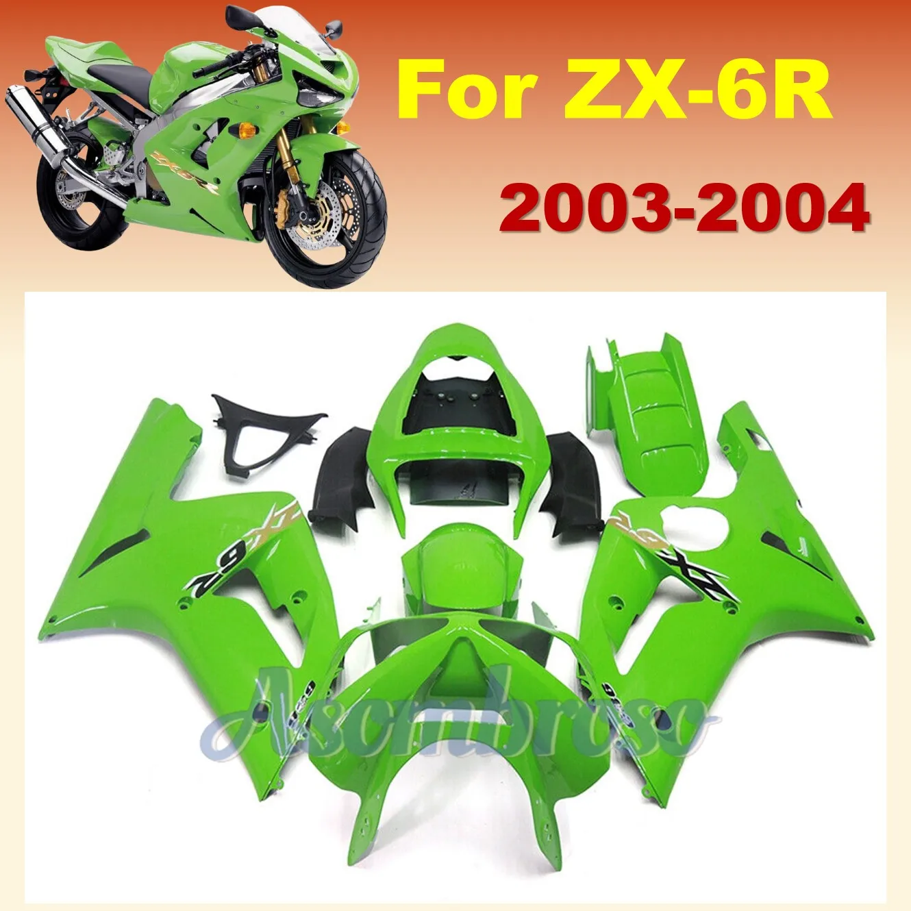 Green  ABS Bodyworks Motorcycle Fairing Kit  For Ninja ZX6R ZX-6R 2003 2004 ZX 6R 03-04 ZX636 Sportsbike Fairing ZXMT