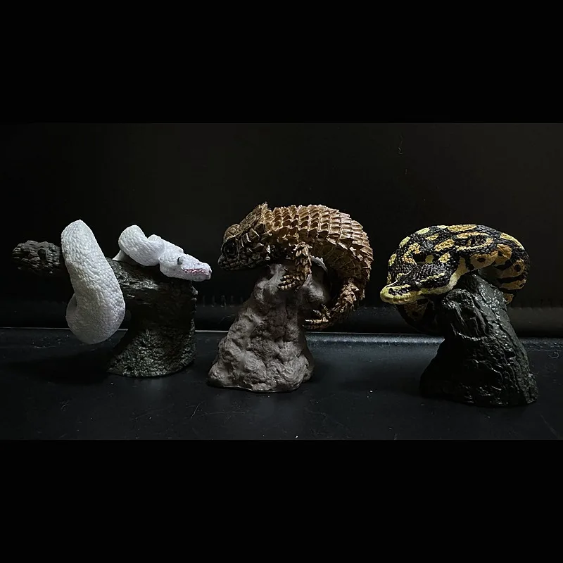 Japanese Genuine Gacha Scale Model Biological Cognitive Model Fingertip Toy Girdled Lizard Ball Python Action Figure Toys