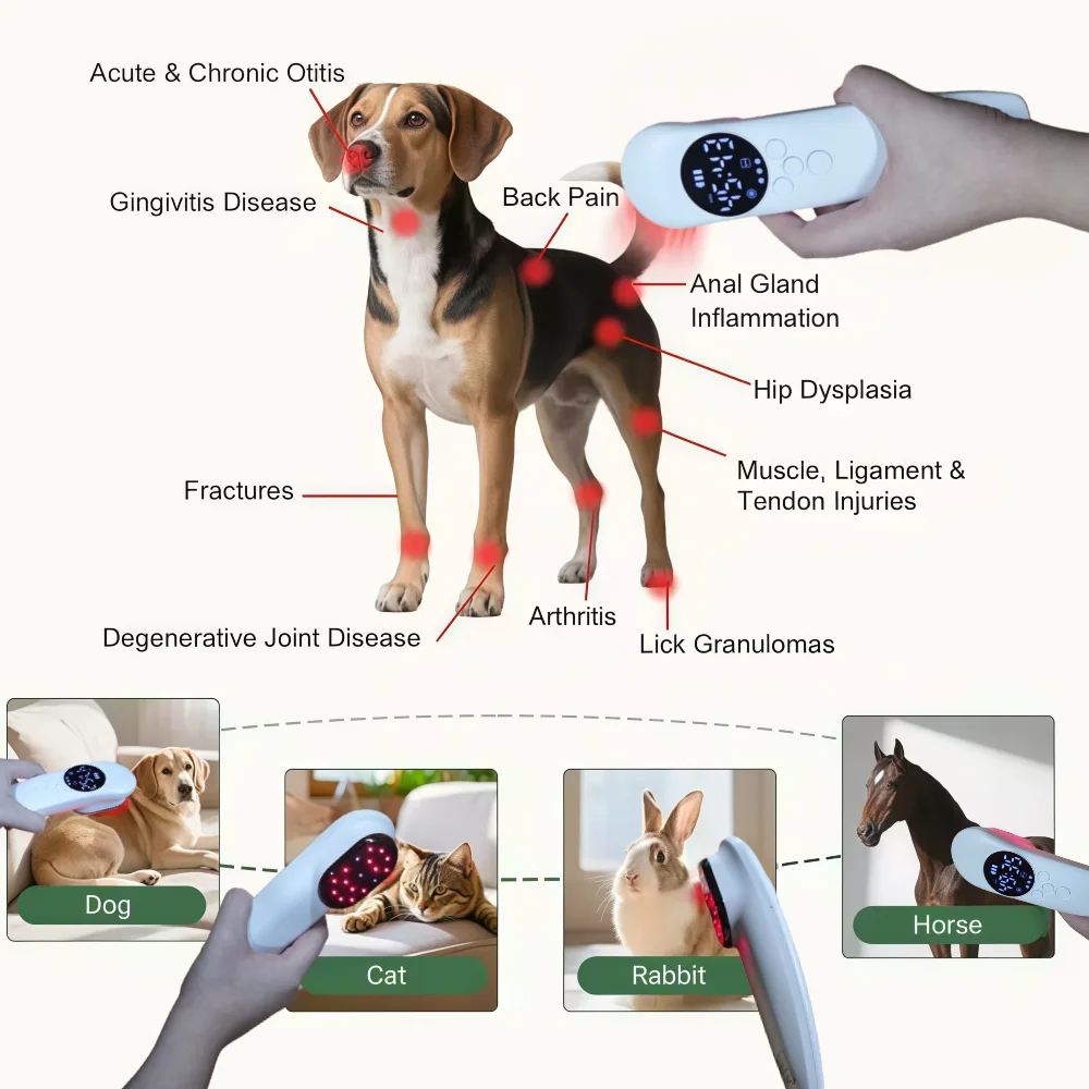 

Облегчение боли, физиотерапия, холодный лазер, лечение болей в суставах, терапия красным светом, ветеринарное устройство для заживления ран, 660 нм, 808 нм