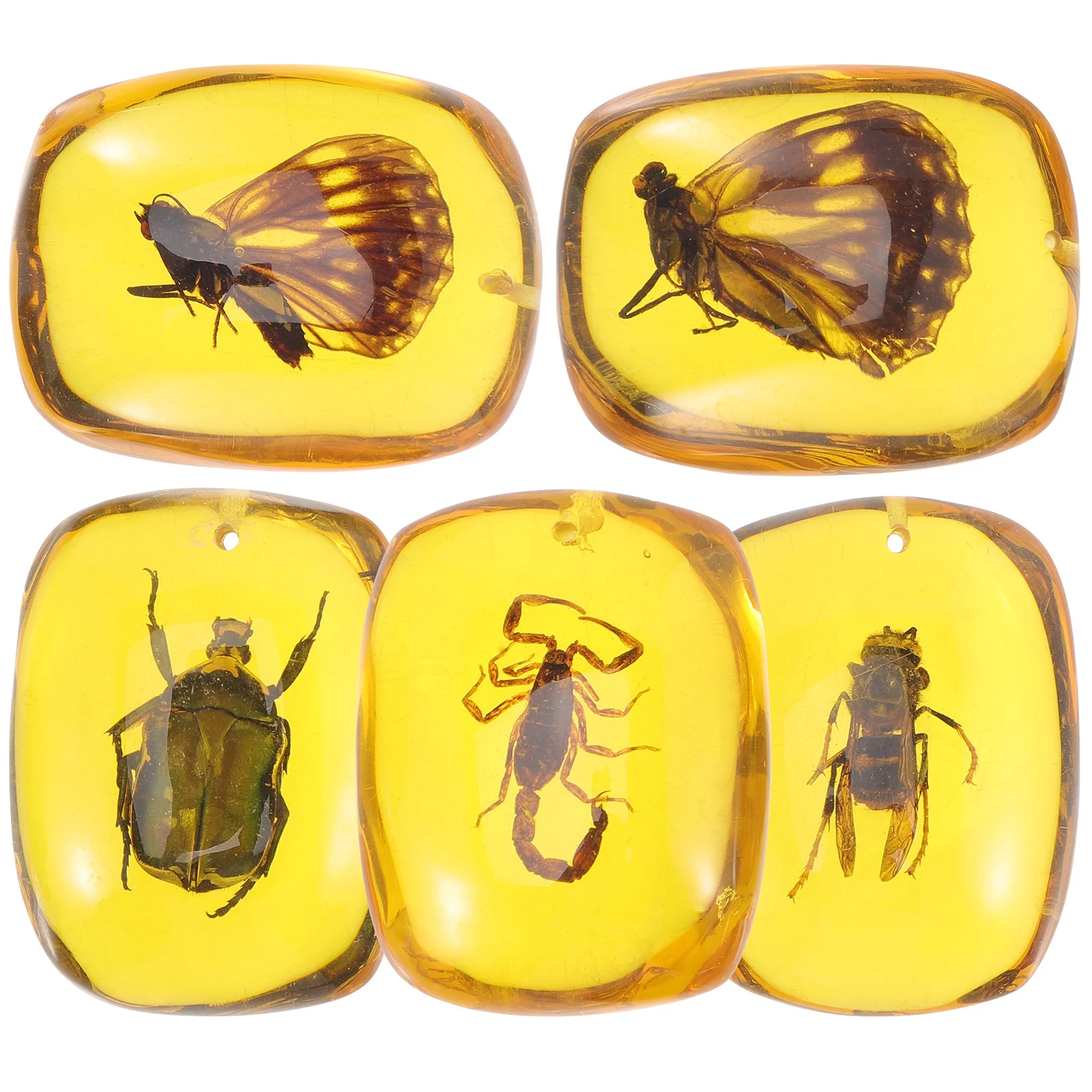 

5Pcs Insect Specimen Resin Pendants DIY Craft Jewelry Charms Amber Earrings Necklace Bracelet Accessories Amber