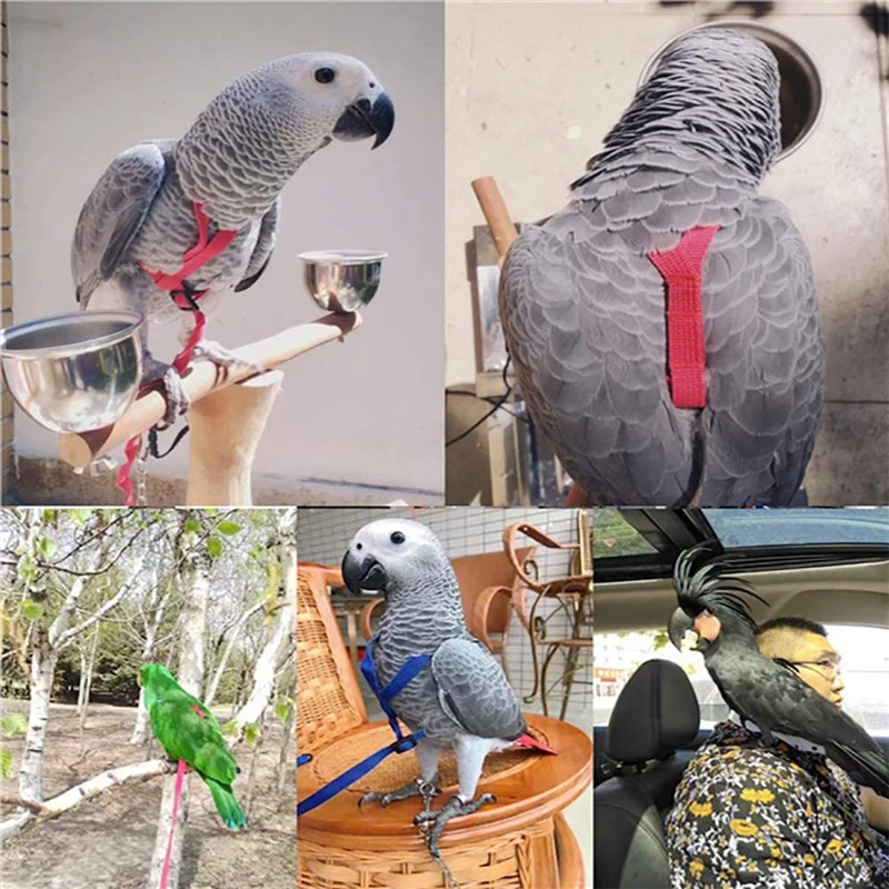 Papoušci ptáci postroj řemínek outdoorové aktivity pouštění trakce popruhy pás pouštění lano pro malý parakeets cockatiels ptáci