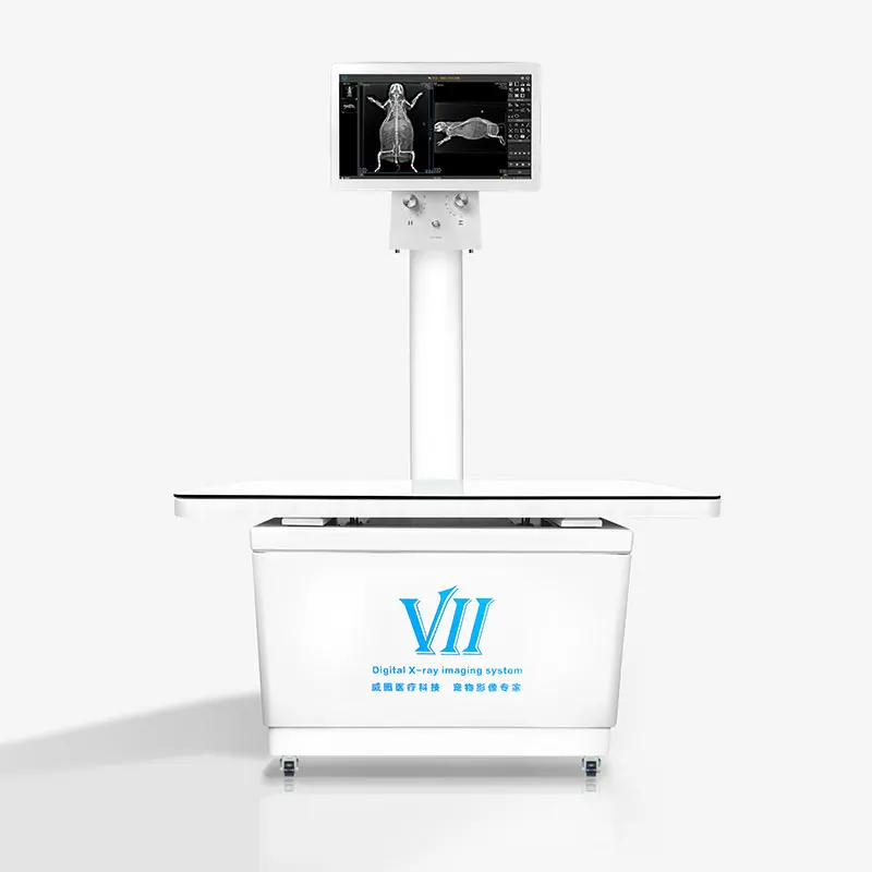 Multifunctional Static Digital Radiography DR X Ray Machine Veterinary Diagnostic Equipment For Pet Diagnosis