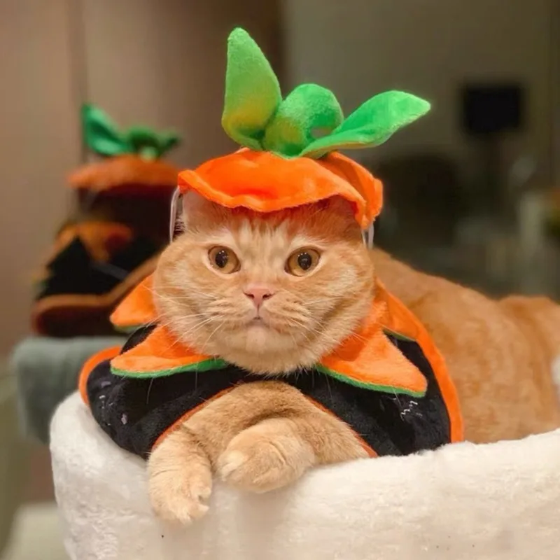 

Halloween Pet Cape Clothing, Double-sided Embroidered Dressing Cape, New Cat and Dog Transformation Outfit, Accessories