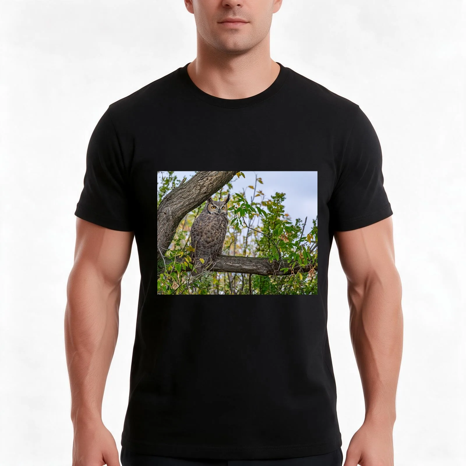 Great Horned Owl Pose T-Shirt, Summer Casual Cotton Tee, Oversized Streetwear Tops, Vintage Graphic Print, Unisex Men Women