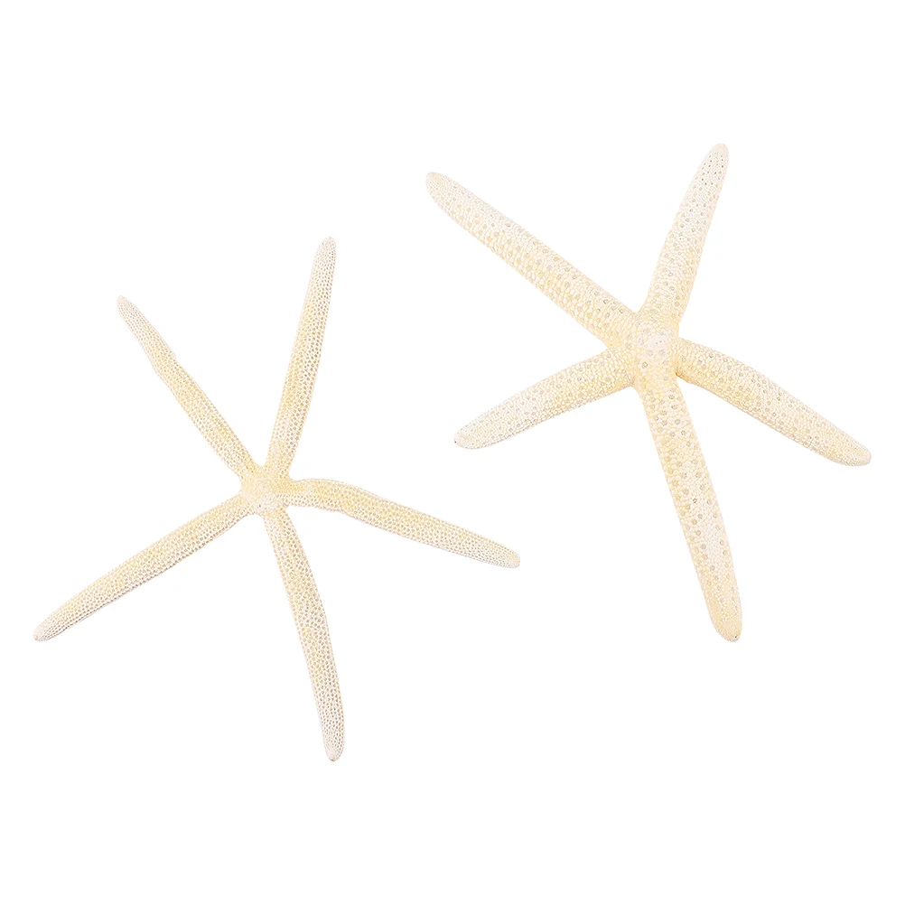 

Props Decoration Sea Craft Ornament The Wedding Adornment Decorations