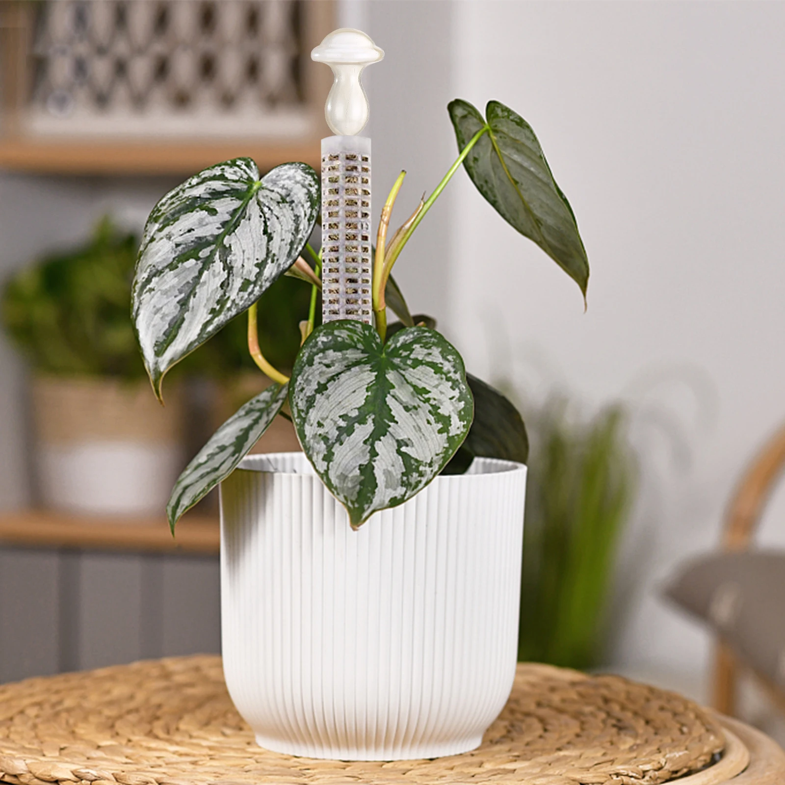 Plants Climbing Stick Sphagnum Plant Support Trellis Frame Water Moss Column Pole For Potted Flower Vines Climbing Home Decor