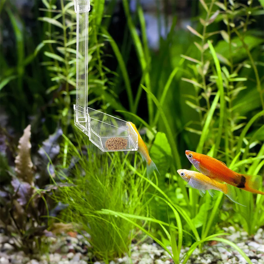 

Acrylic Fish Feeder 28cm Shrimp Feeding Tube Aquarium Supplies Easy Installation Keeps Practical Design