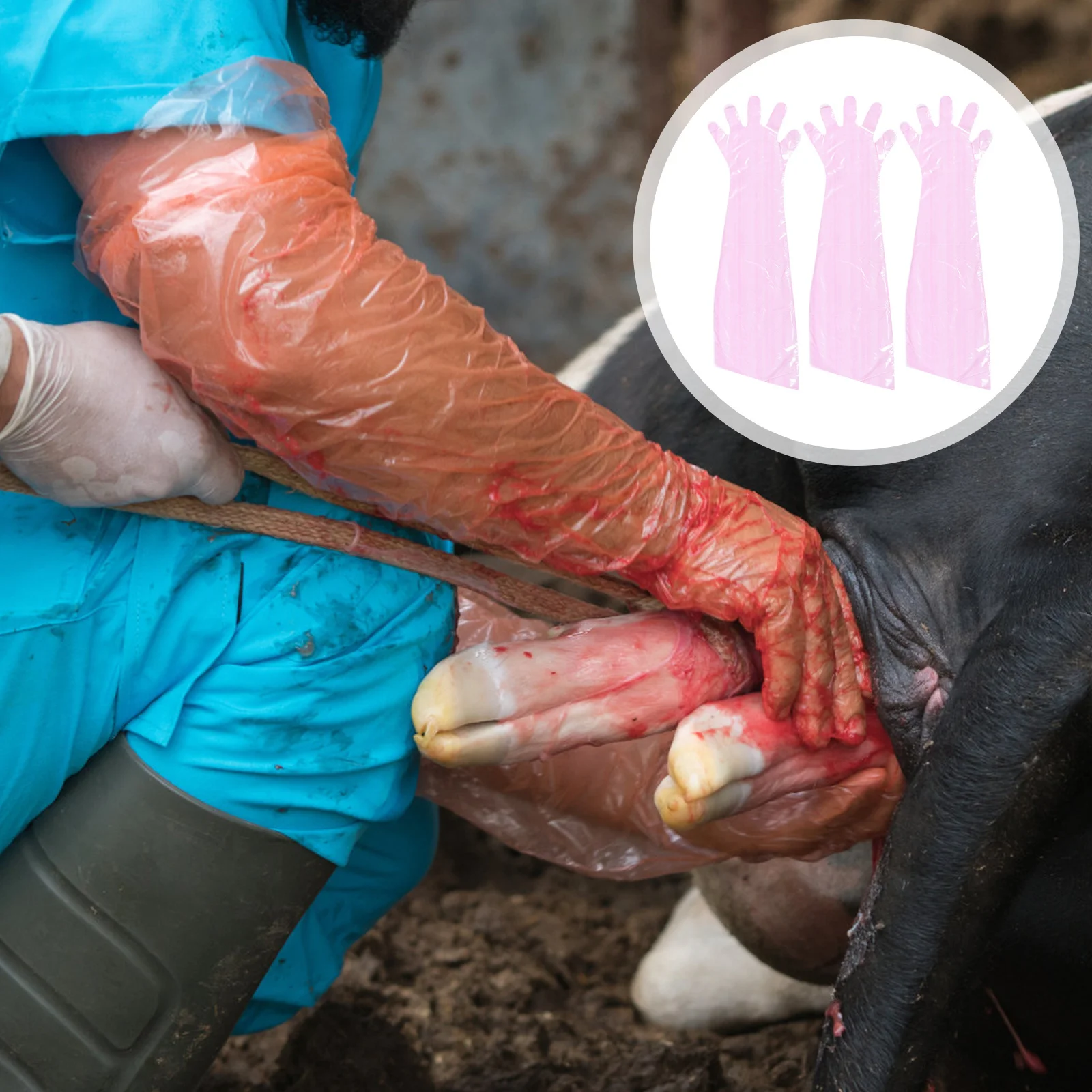 50 قطعة قفازات العجل قفازات بلاستيكية طويلة يمكن التخلص منها للحيوانات الولادة تسليم حماية البيطرية القابلة العرض حامي