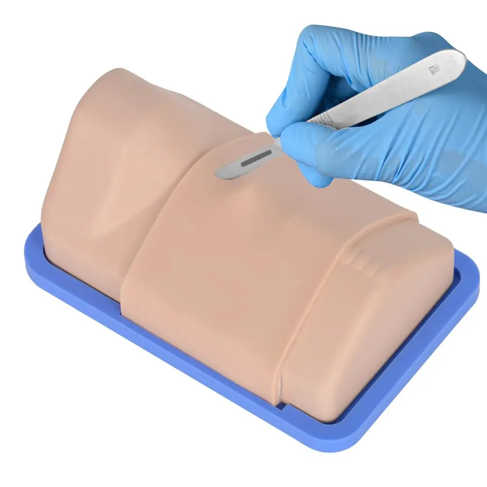 Realistic Adult Cricothyrotomy Simulator Tracheotomy Training Model Surgical Airway Trainer for Medical Student Learners Educate